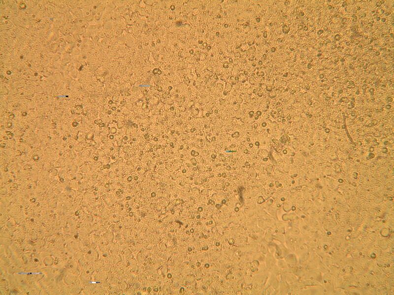 File:Mod2Day3Part1-5b