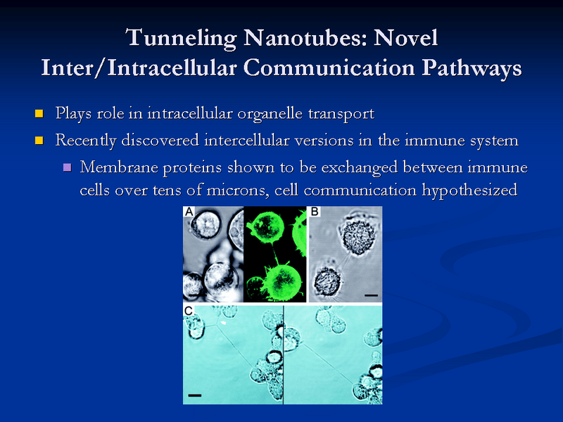 File:PSU GFL 2007 BN Slide 3.PNG