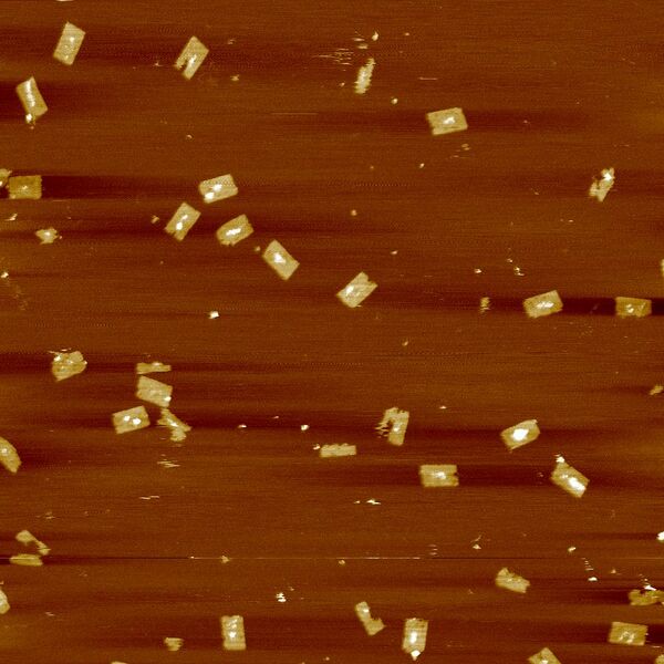 File:TtH3 Rib3 1pot Full 1 10.jpg