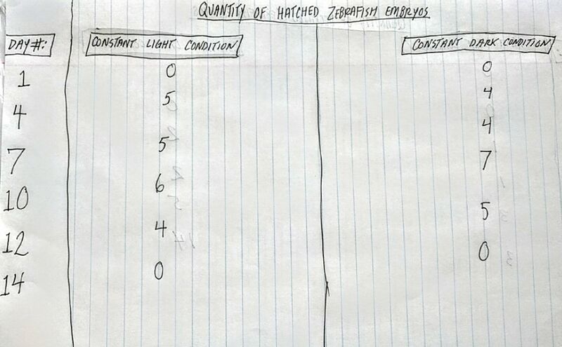 File:--Image-BME103 Group110 AUBIO210.jpg--