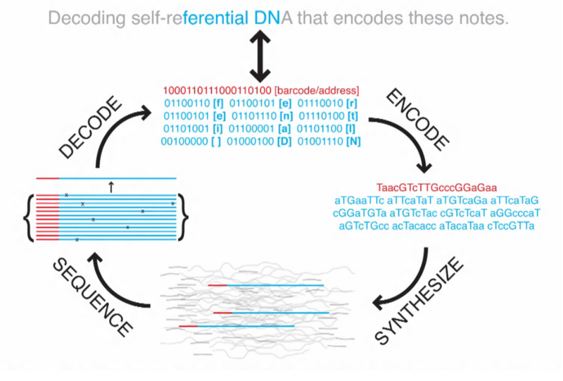 File:Church book.png