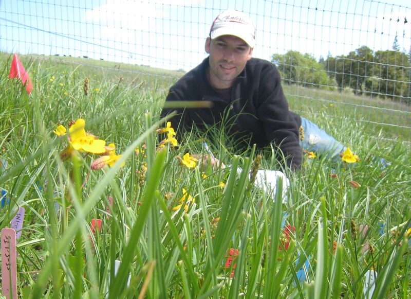 File:Lowry field 2.JPG