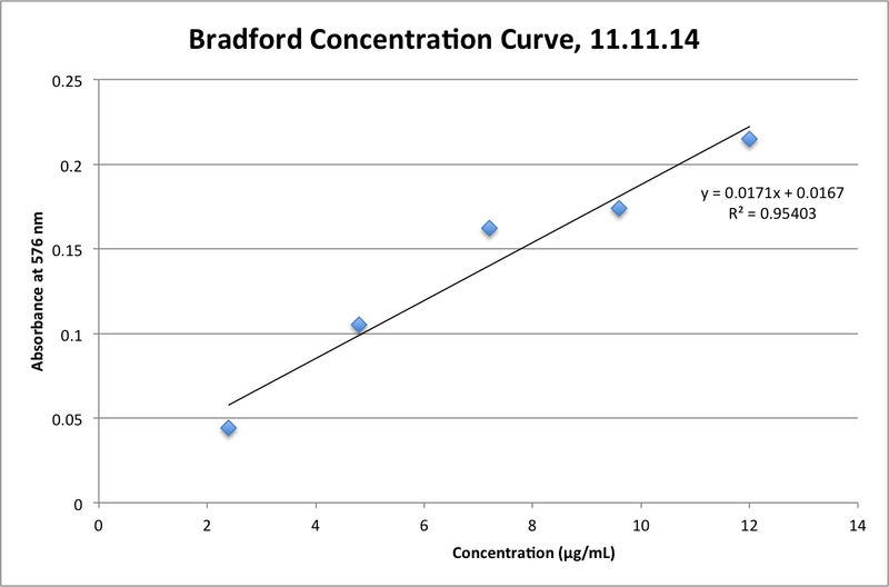 File:11.11.14 Bradford Calibration Curve MGPR.png