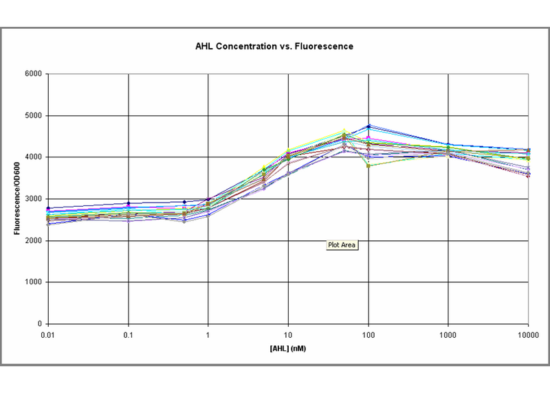 File:240806 J37016.png