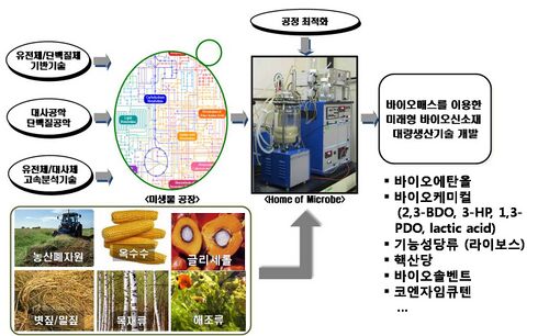 Scheme of microbial factory technology