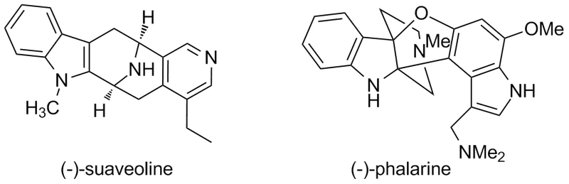File:Suave phal2.png