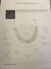 Aerial View of Transect 3
