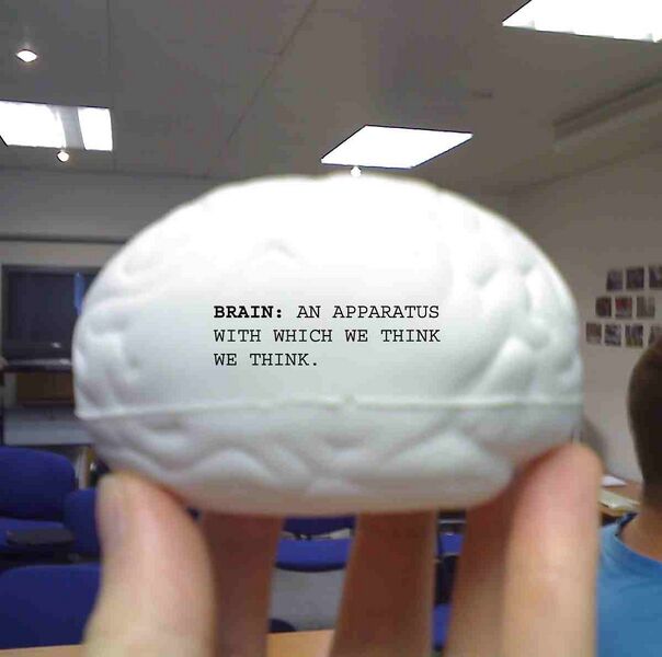 File:11-07-07 1733.jpg