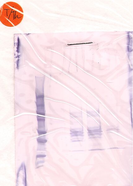 File:20.109(F09) TR Western Orange.jpg