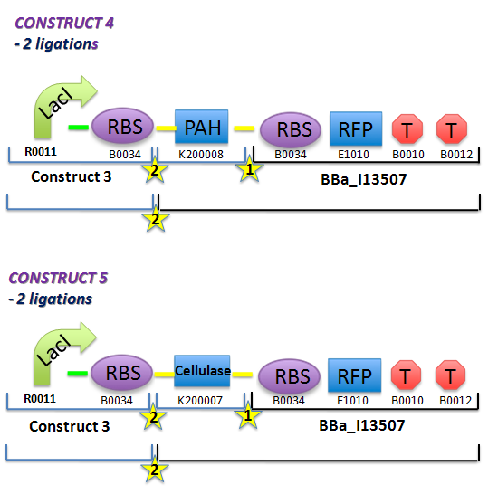 File:II09 ConstM1b.jpg