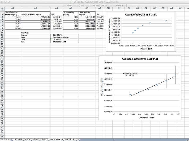 File:20130227 average ADA Kinetics 3T.tiff