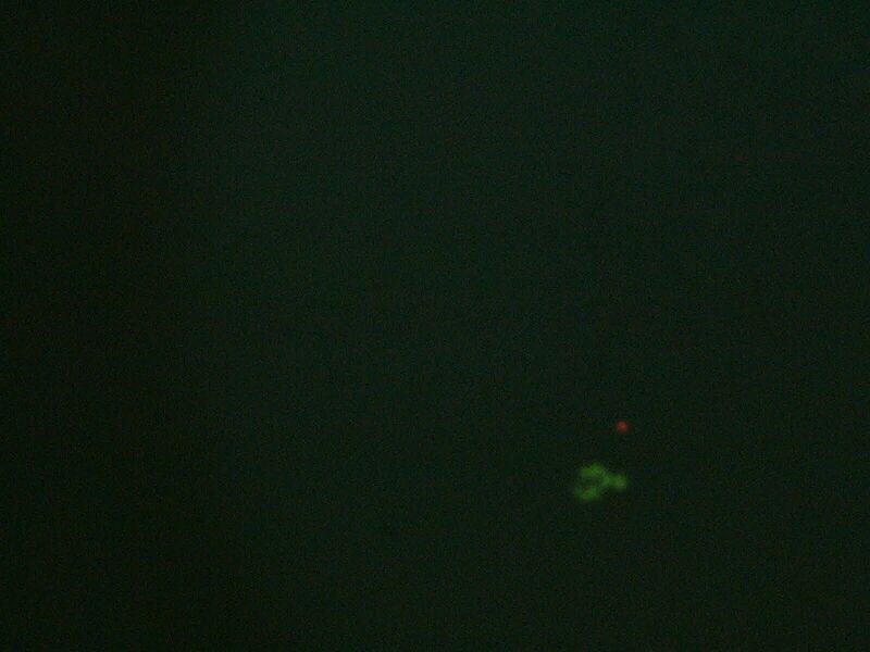 File:3d control live.jpg