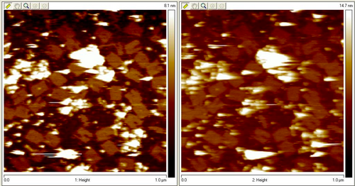 Origami with Enzymes