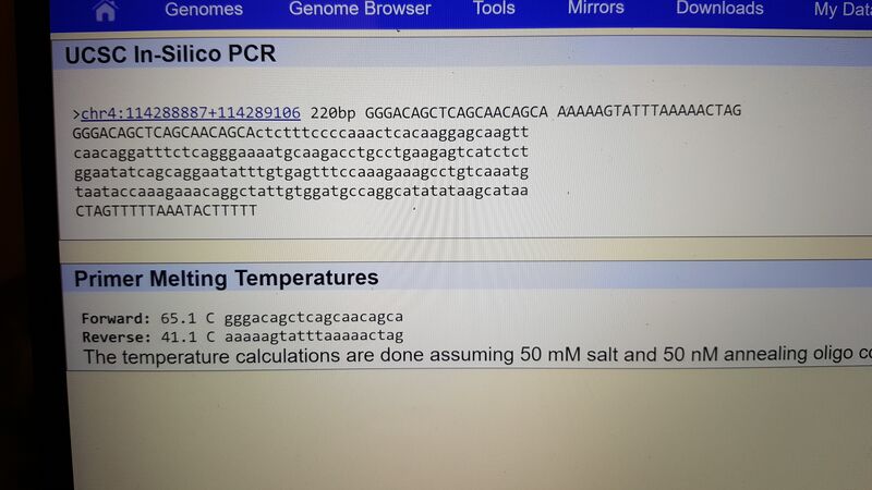File:Non disease primers.jpg