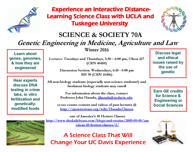 File:SAS 70A Flyer 2016.png