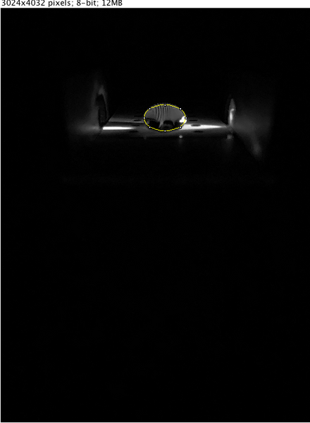 File:0ul image J.png