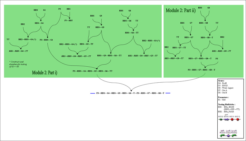 File:II09 M2 ClonStrat.png