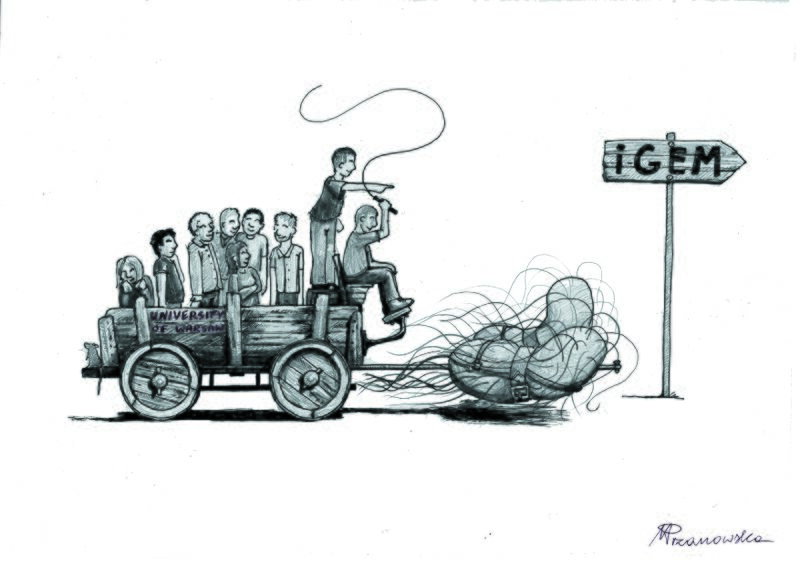 File:IGEM UWteam.jpg