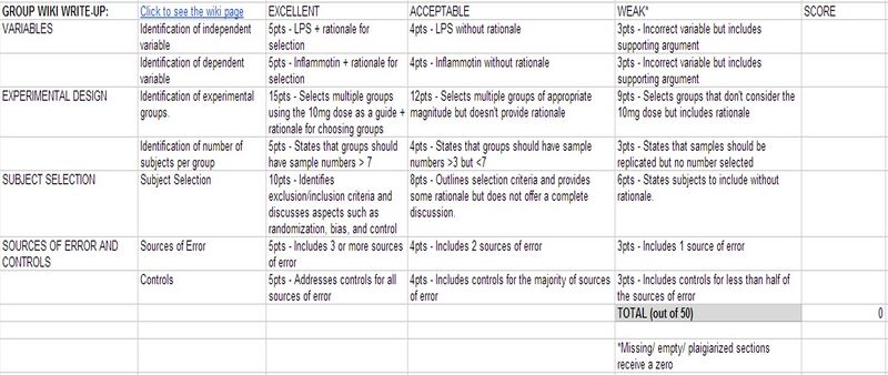 Lab 1 Rubric
