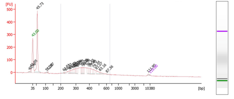 File:Bioanalyzer skinks plate2.png