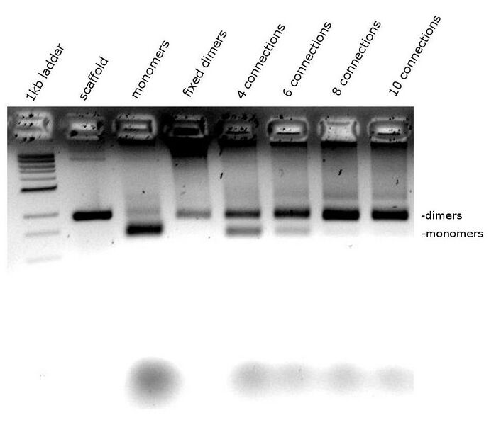 File:Gel dimerisation.jpg
