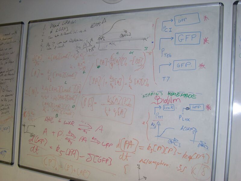 File:IC07 image065.jpg