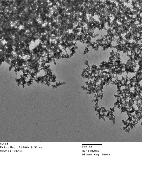 File:Phage SWNTs TiO2 5.tif