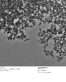 Thumbnail for version as of 02:45, 2 September 2011