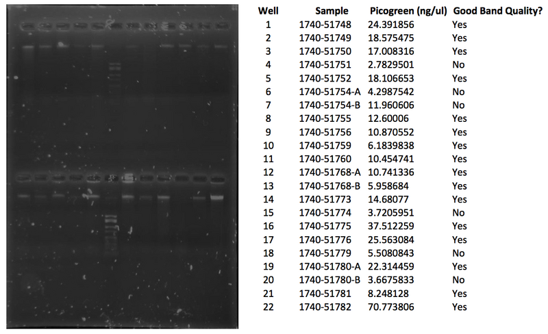 File:WIFL NAU 1740-51748.png
