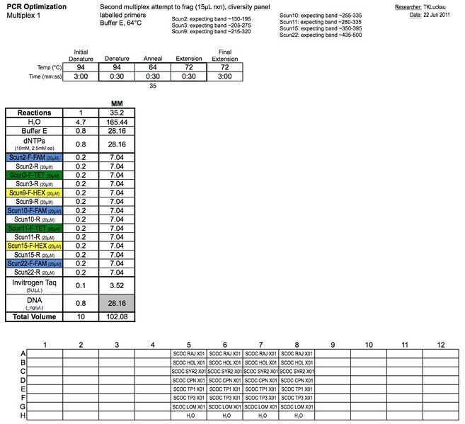 File:20110622 PCR.jpg