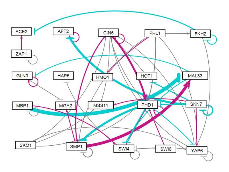 File:2015.06.03.Weighted pos neg RanRun1 NW.jpg