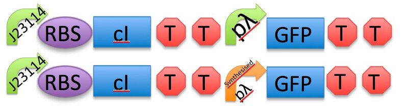 File:II09 Constructs Test3-1.jpg