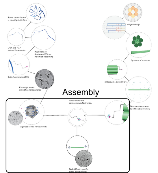 File:LMU2013 tree assembly.png