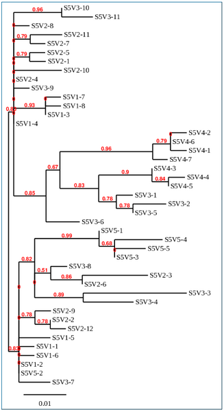 File:MAP Activity 2, subject 5.PNG