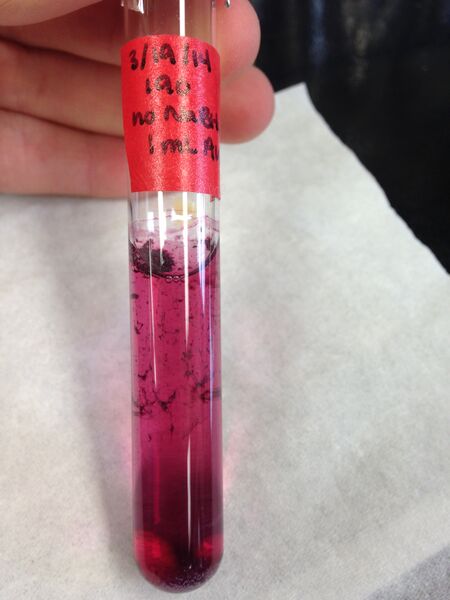 File:190, 1mL Au.jpg