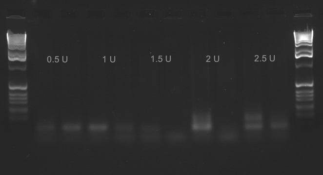 File:20110117 Full.TIF