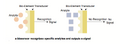 Thumbnail for version as of 18:02, 19 June 2013