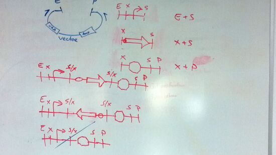 Assembly strategy (post-cut)