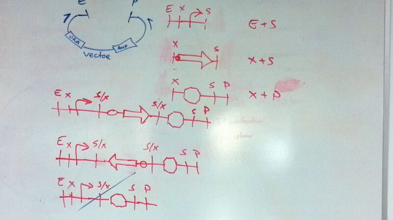File:Post-cut assembly.jpg