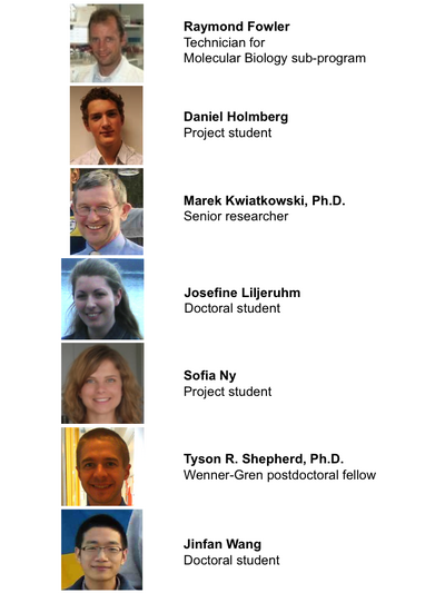 Minimal Cell Project