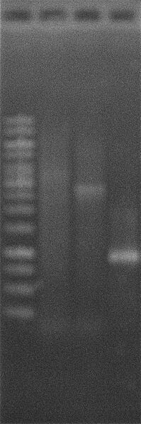 File:Change RBS 12Aug2010.JPG