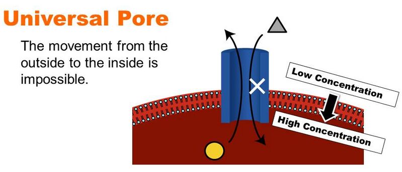 File:Format cellgate kakudai.jpg