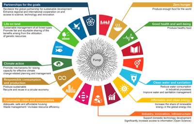 Fungi can support many of the United Nations Sustainable Development Goals, Meyer et al. 2020. Creative Commons Attribution 4.0 International License. No modifications.
