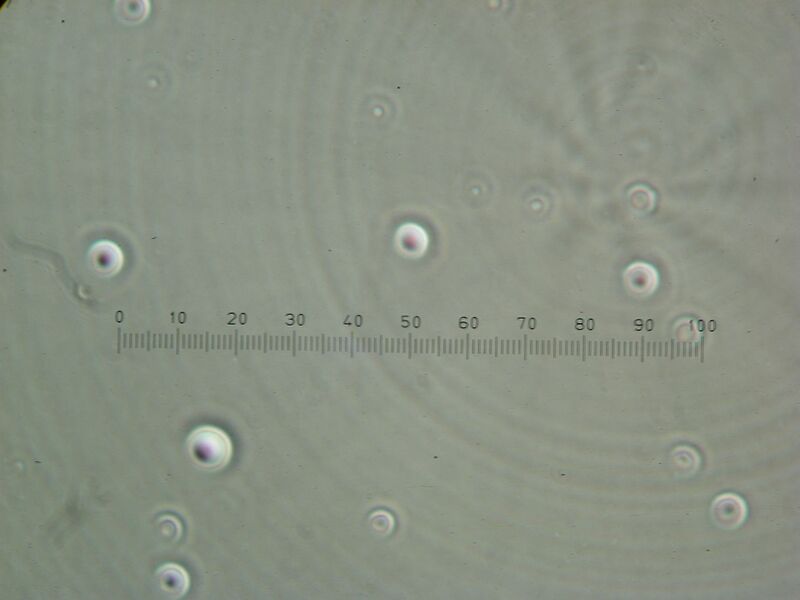 File:IC07 image106.jpg