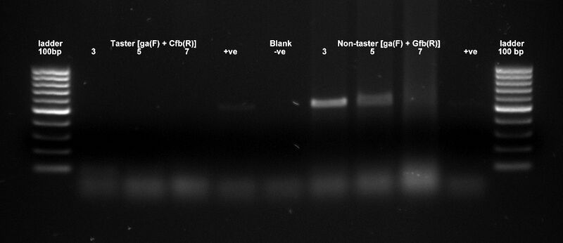 File:SalivaPCRelec 09.10.jpg