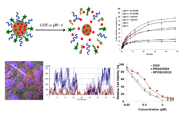 File:Dual responsive nuclear targeted nanoparticle.tif