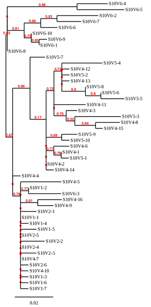 File:AnnikaSubject10Tree.png