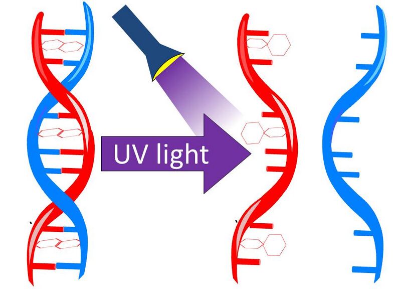File:Azobenzene image dissociation.jpg