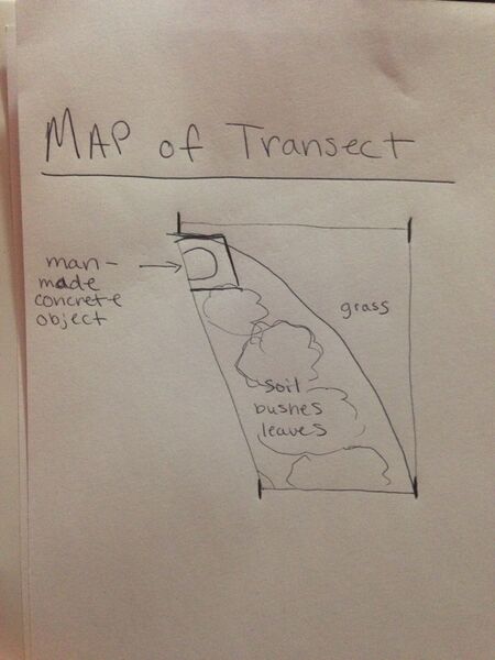 File:Map for bio.jpg