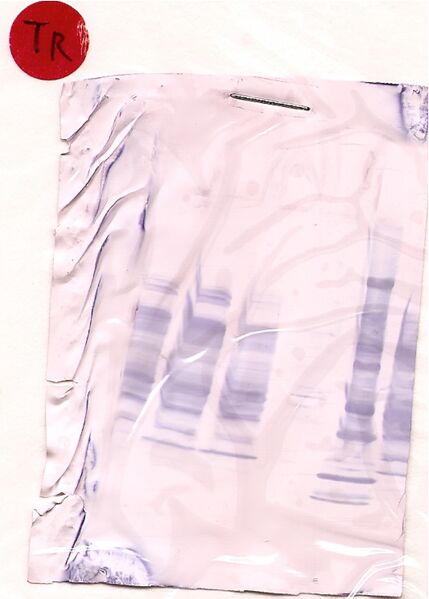 File:20.109(F09) TR Western red.jpg